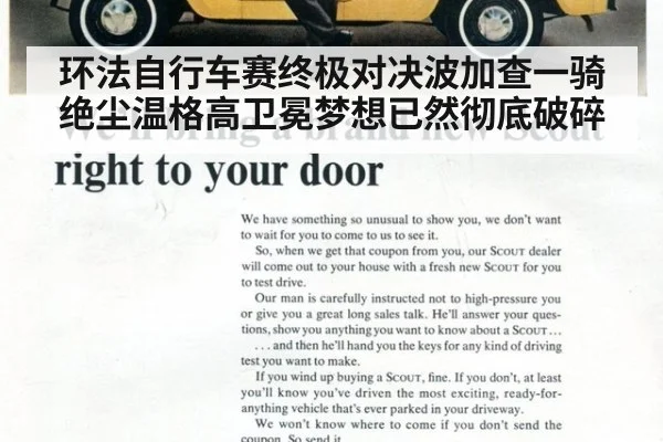 环法自行车赛终极对决波加查一骑绝尘温格高卫冕梦想已然彻底破碎
